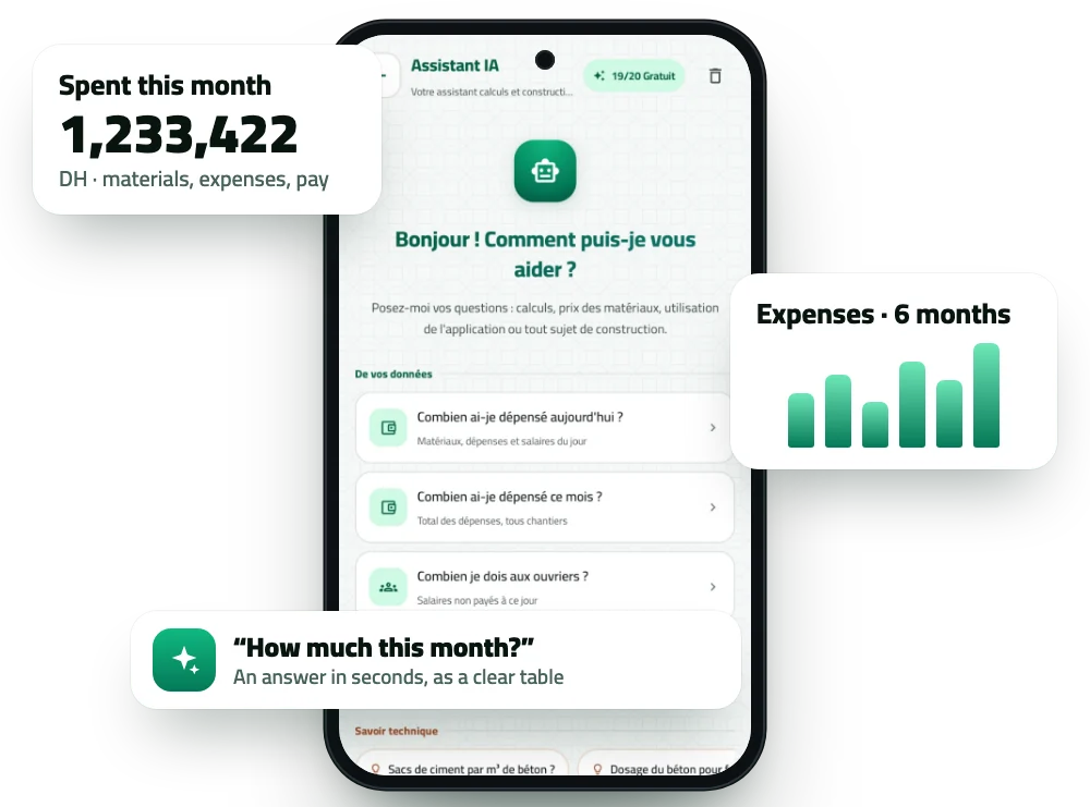 Assistant screen with the spent-this-month card and a six-month chart